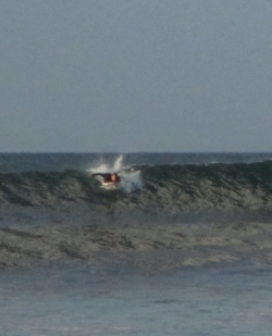 Alvin Donovan surfing